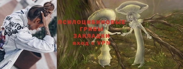 прущий лед Магас